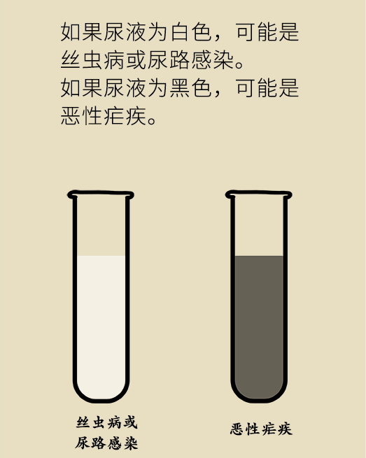 微信圖片_20090101010118.png